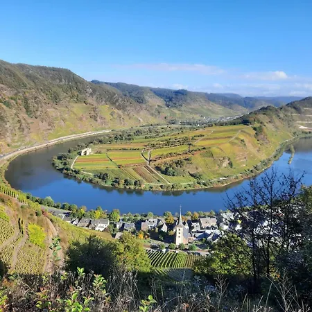 Winzerhaus Schenk Lägenhet Neef