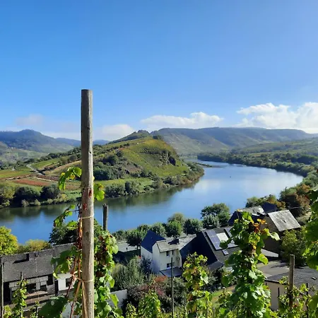 Winzerhaus Schenk Neef