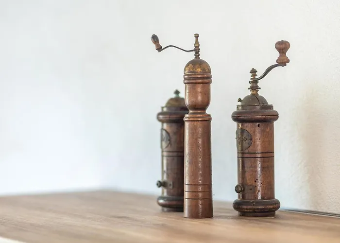 Winzerhaus Schenk Lejlighed Neef